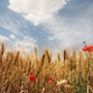 Meet your Posher, Андрей